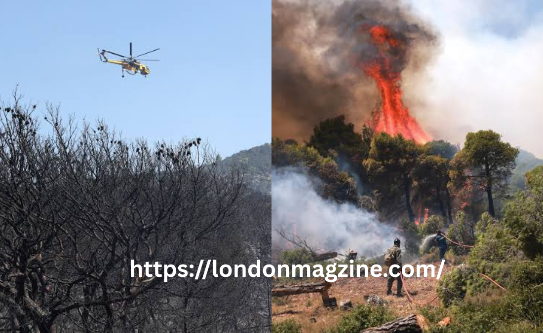 Greek Helicopter Crash: What Happened and What We Know